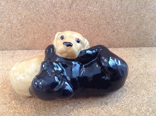 Wade puppy play 2 - no,