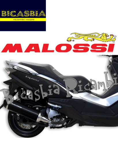 13253 exhaust malossi - 13253, rx