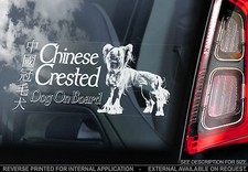 Chinese Crested Dog - Car