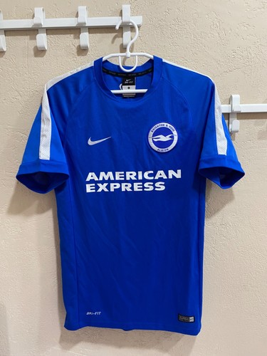 Brighton and hove albion - hove,