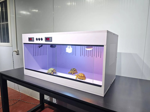 Reptile terrarium enclosure - reptile,