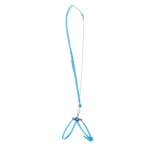 Reptile parrot bird harness - reptile,