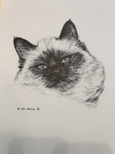 Himalayan cat print - cat,