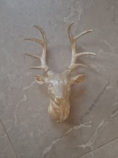 Silver Wall Mounted Stag Head