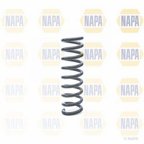 Coil spring rear - coil, mercedes
