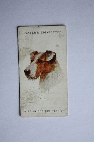 Players cigarette card dogs - cigarette,