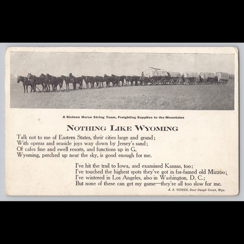 Postcard sixteen horse - postcard,