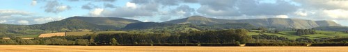 Harvest hills gauge - harvest, n