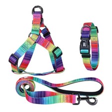 Pet collar lead - pet, collar,