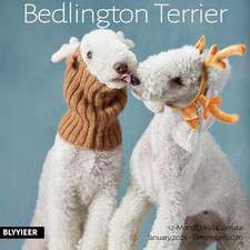2026 wall calendar bedlington - 2026,