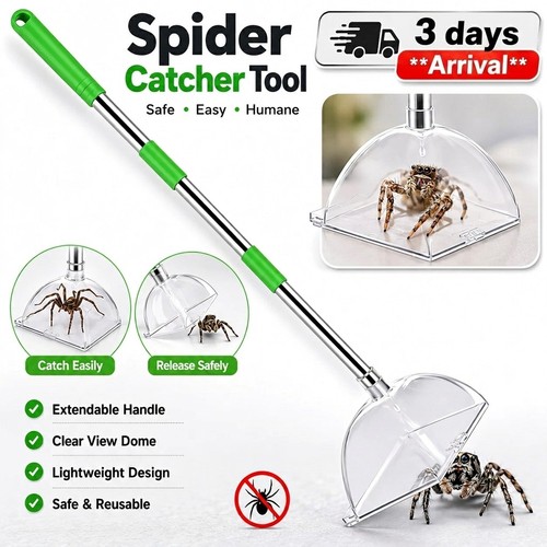 Spider catcher humane easy - spider,