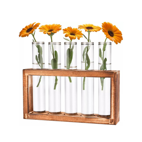 Wall hanging glass planter - hanging,