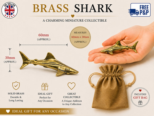 Solid brass shark - solid, statue