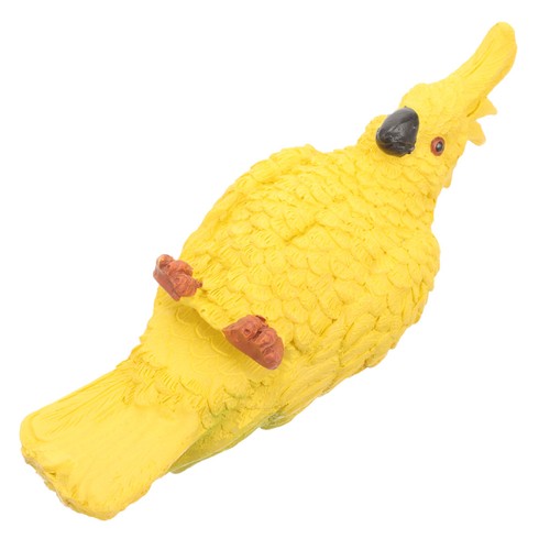 Parrot for fish - ,