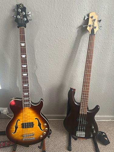 Greg bennett rlb bass - greg,
