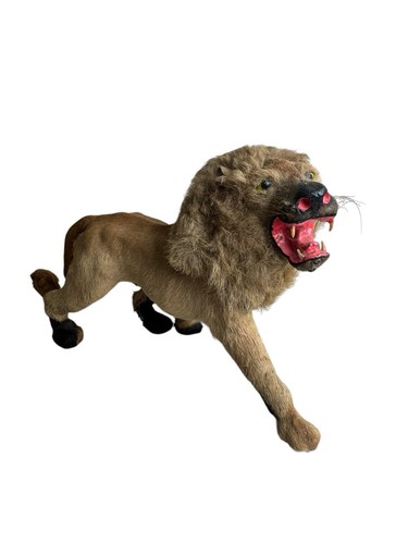 Antique lion taxidermy - lion,