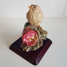 Florence Bird Finch