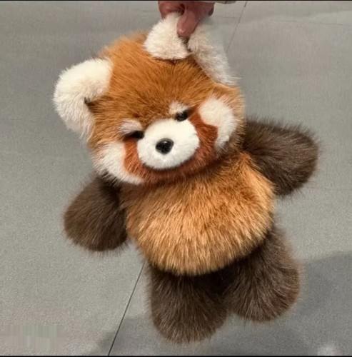 Cute red panda - plush, soft