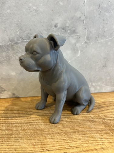 Inch staffordshire bull - 5,