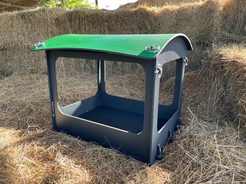 Chicken dust bath - chicken,