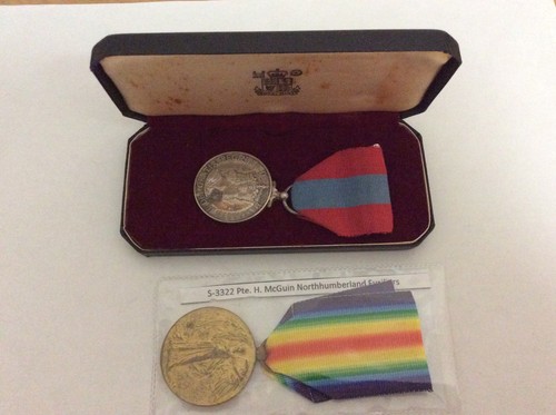 Ww1 pte mcguin casualty dow - ww1, h
