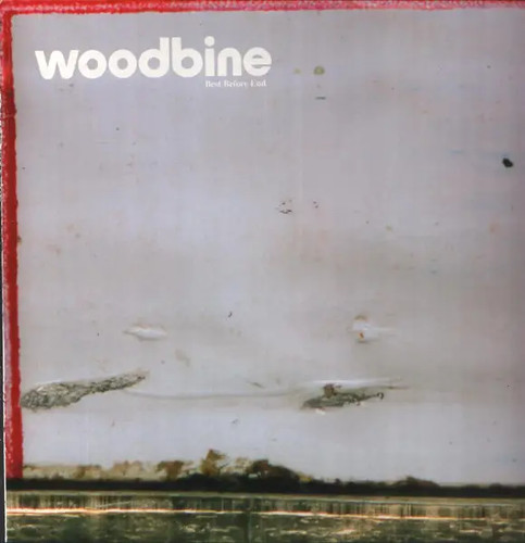 Woodbine best before end - woodbine,