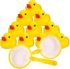 10 Mini Rubber Ducks with 2 Fishing Net Bath Toy Set  Fun Water Games for Kids