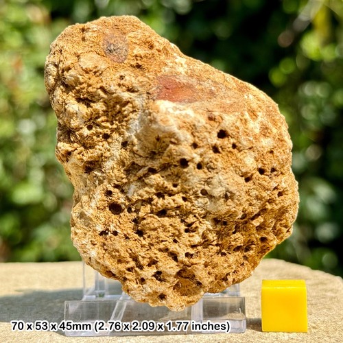 Authentic british jurassic - authentic,