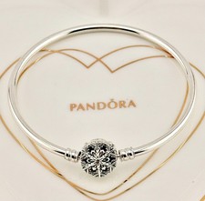 LIMITED EDITION Pandora Silver