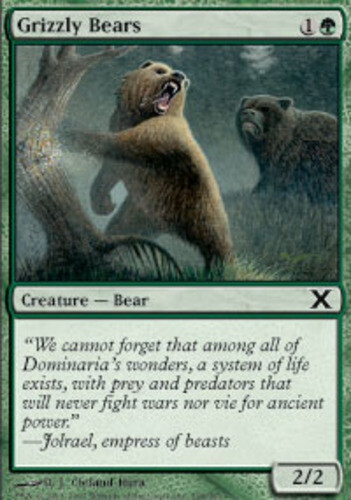 Grizzly bears 10th - bears,