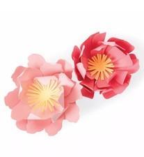 Sizzix Bigz Die 663860 Summer Blooms by Jennifer Ogborn;