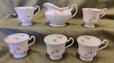 Vintage Paragon Hand Painted