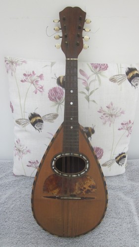 Italian bowl back mandolin - bowl, -back