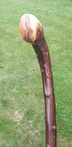 Blackthorn walking stick - blackthorn,