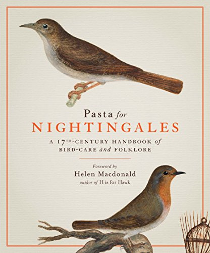 Pasta for nightingales - pasta, nightingales: