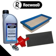 Service Kit Fits Briggs &