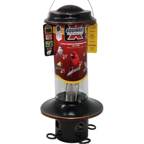 Squirrel tubular bird feeder - x,