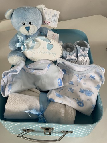Baby boy gift basket set - gift, blue