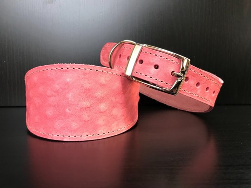 Large leather dog collar lined - large,