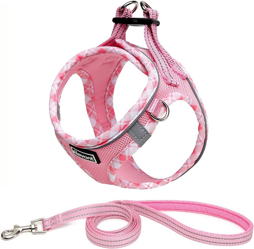 Step dog harness and - dog,
