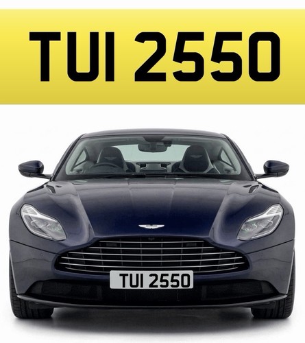 Private number plate tui - plate,