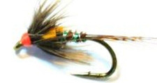 Crunchers glow brite Trout