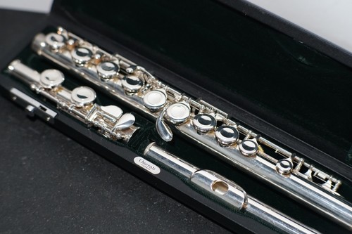 Pearl flute 501 hard case - pearl,