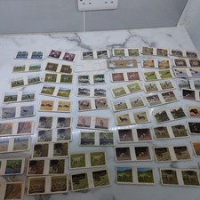 Lot of 54 Weetabix Cards