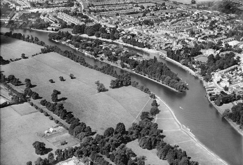 Eel pie island - pie, twickenham