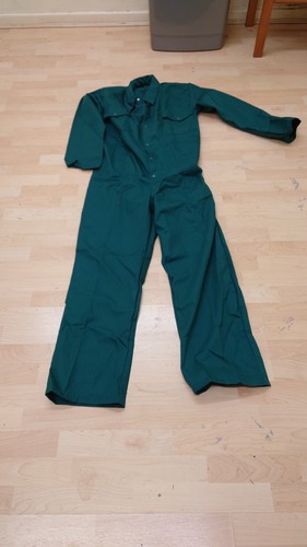 Ladies mens green - ladies, colour