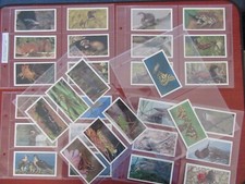 1984 GRANDEE CIGAR CARDS BRITISH ENDANGERED WILDLIFE  FULL SET 32 CARDS