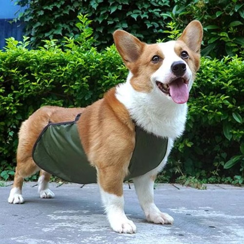 Waterproof pet dog bellyband - waterproof,
