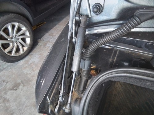 Boot tailgate support strut - boot, or