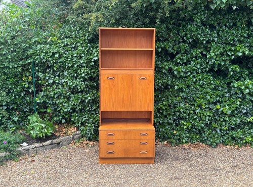 Mid century plan cocktail - ,